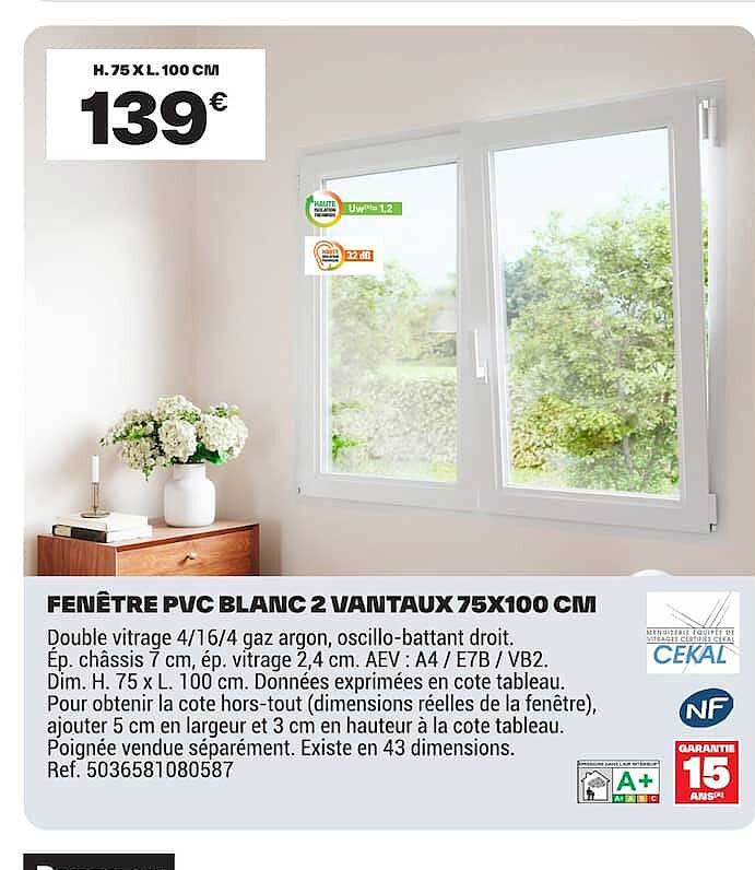 FENÊTRE PVC BLANC 2 VANTAUX 75X100 CM