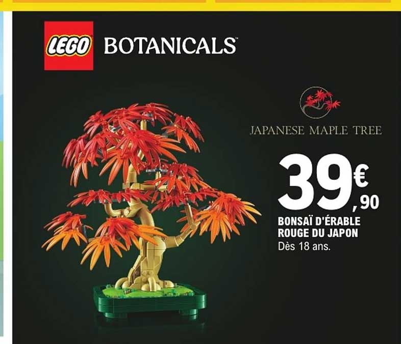LEGO BOTANICALS JAPANESE MAPLE TREE BONSAÏ D'ÉRABLE ROUGE DU JAPON Dès 18 ans.