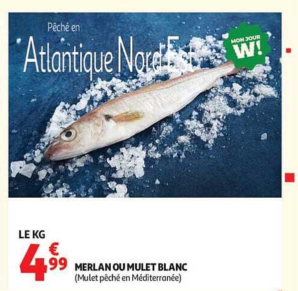 MERLAN OU MULET BLANC