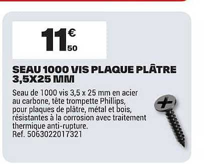 SEAU 1000 VIS PLAQUE PLÂTRE 3,5X25 MM