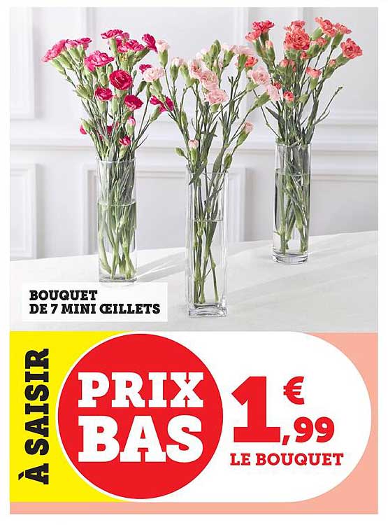 Bouquet de 7 mini œillets