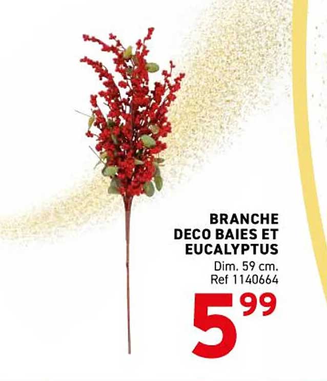 BRANCHE DECO BAIES ET EUCALYPTUS