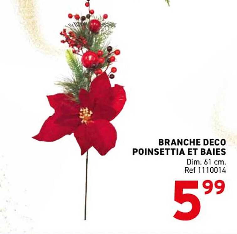 BRANCHE DECO POINSETTIA ET BAIES