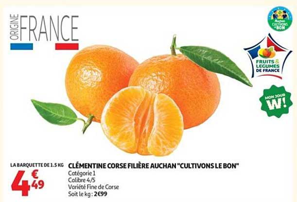 CLÉMENTINE CORSE FILIÈRE AUCHAN "CULTIVONS LE BON"