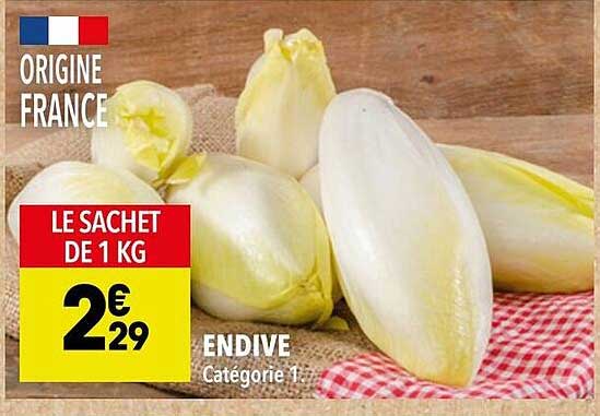 ENDIVE