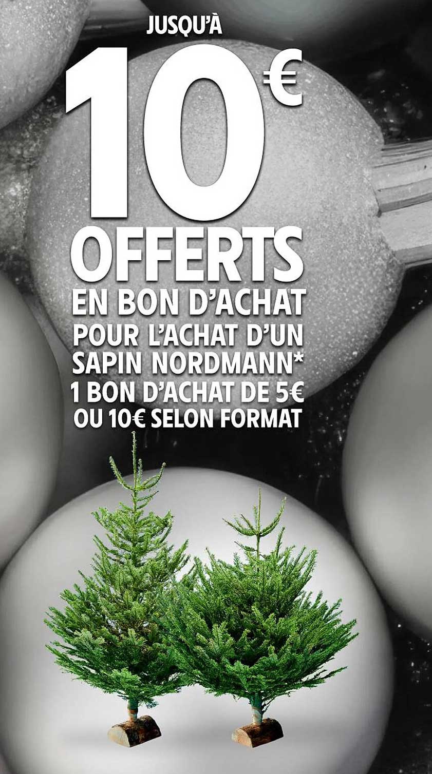 JUSQU’À 10€ OFFERTS EN BON D’ACHAT POUR L’ACHAT D’UN SAPIN NORDMANN*