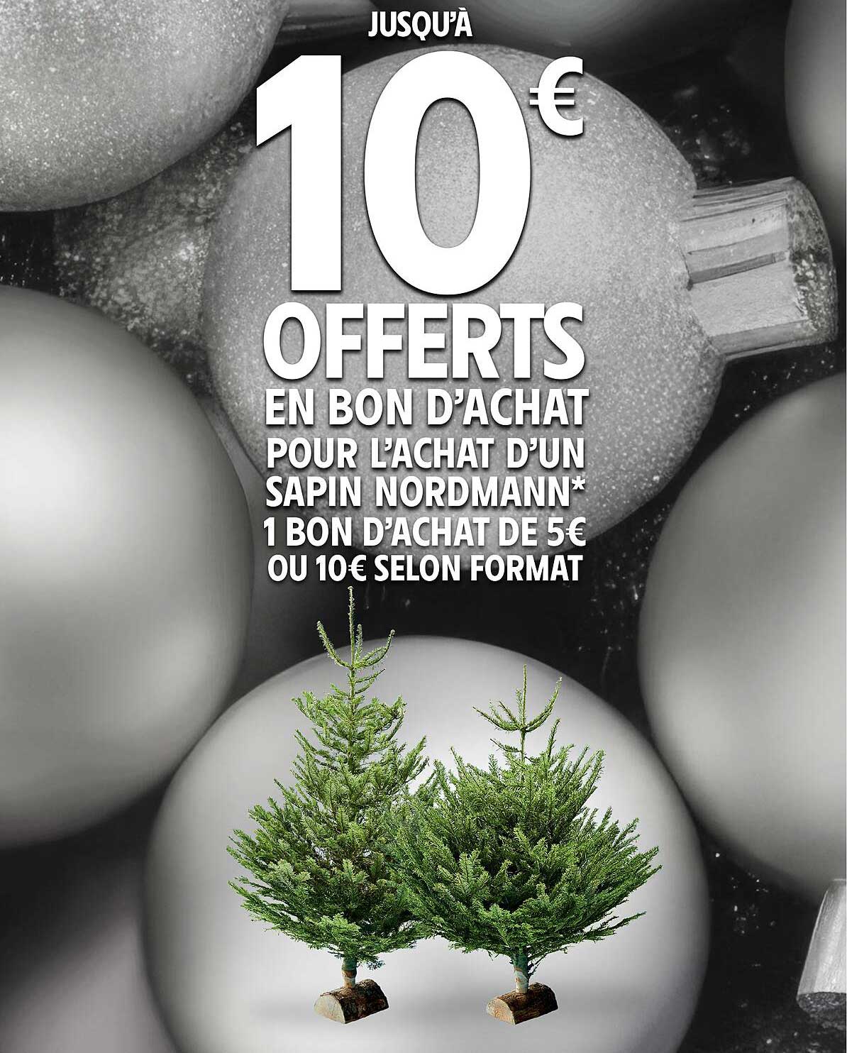 JUSQU'À 10€ OFFERTS EN BON D'ACHAT POUR L'ACHAT D'UN SAPIN NORDMANN*