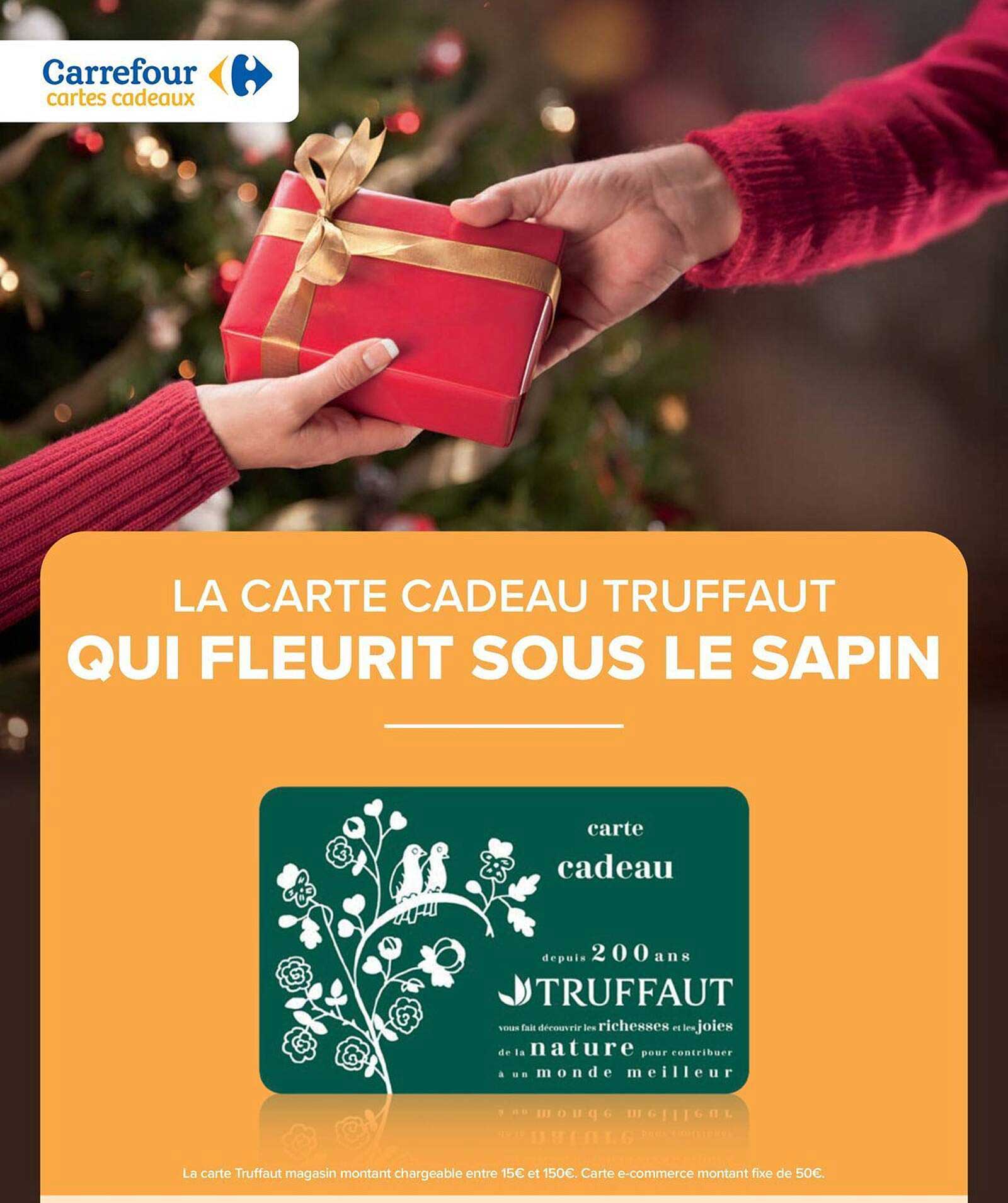 LA CARTE CADEAU TRUFFAUT QUI FLEURIT SOUS LE SAPIN