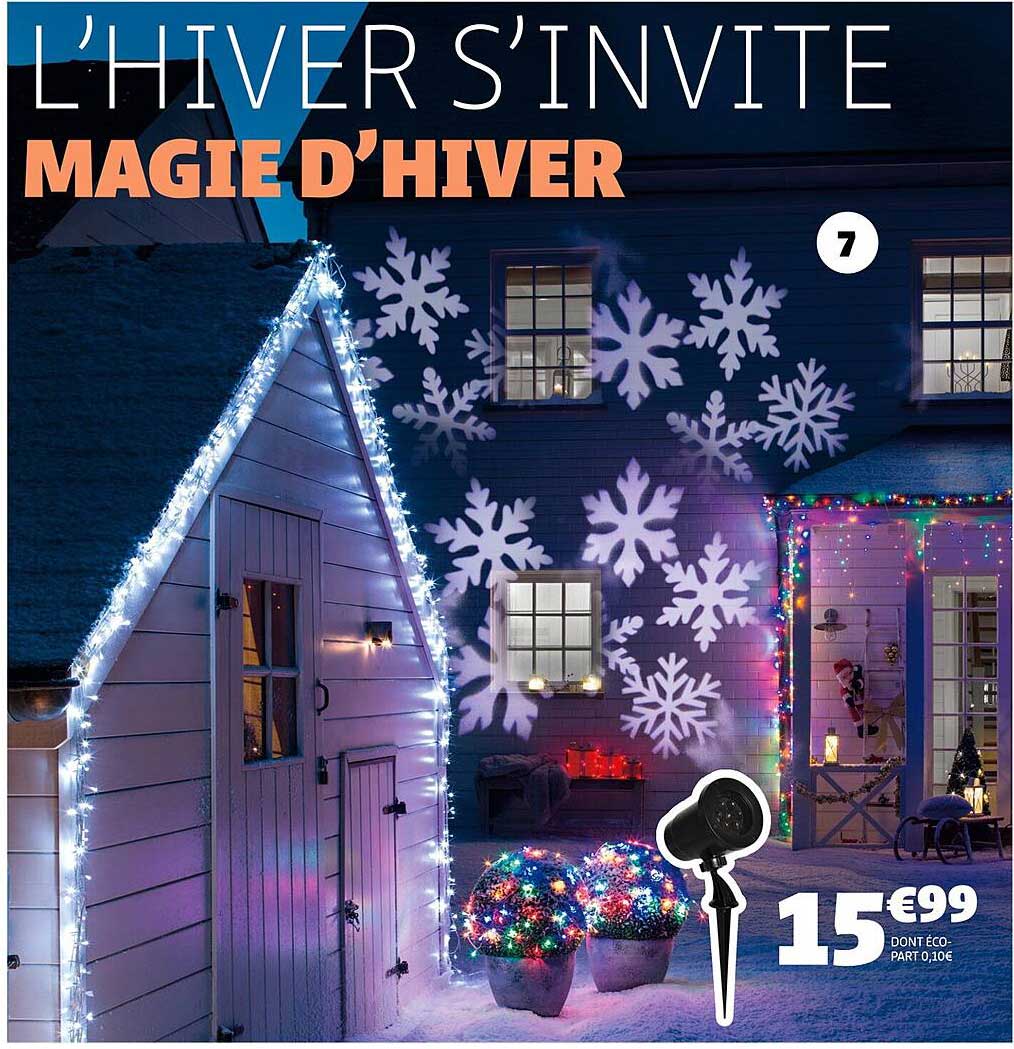 MAGIE D'HIVER