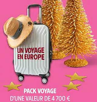 PACK VOYAGE D’UNE VALEUR DE 4 700 €