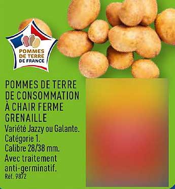 POMMES DE TERRE DE CONSOMMATION À CHAIR FERME GRENAILLE