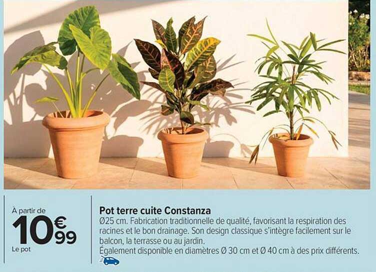 Sitemapcdatahttpwen2windecoocompots En Terre Cuite Carrefournull