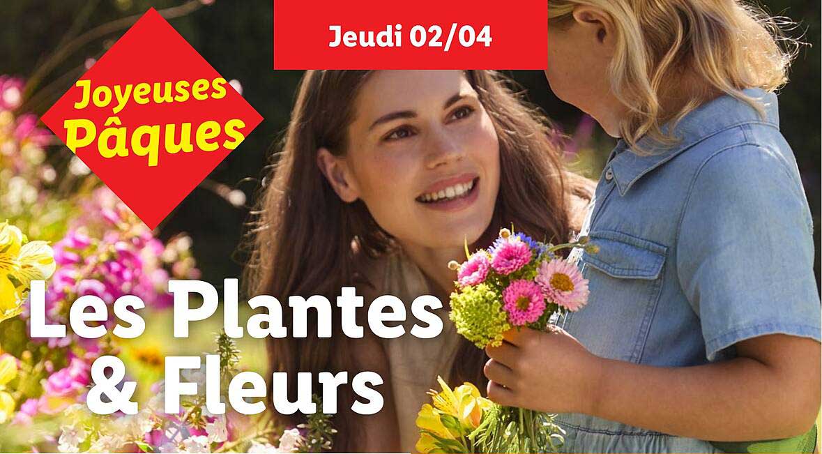 Les Plantes & Fleurs