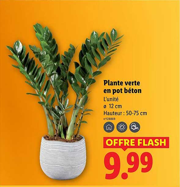 Sitemapcdatahttpsmodeinf Inetcombananier En Pot Lidl