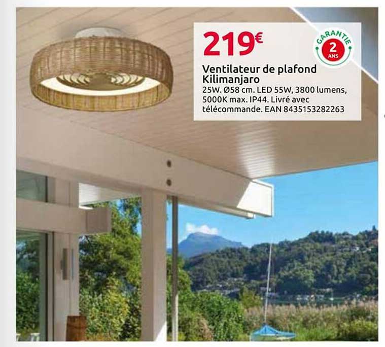 Ventilateur Plafond Brico Depot