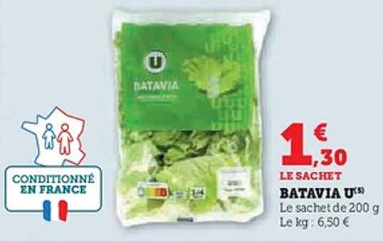 BATAVIA U