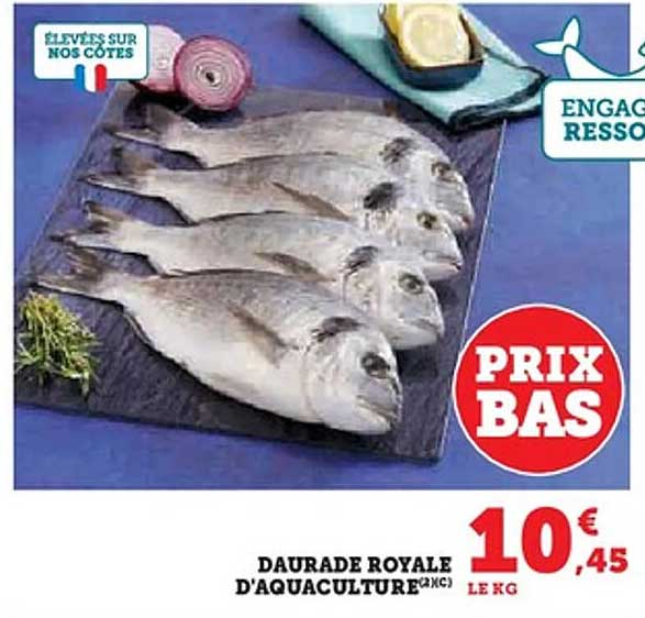 DAURADE ROYALE D'AQUACULTURE