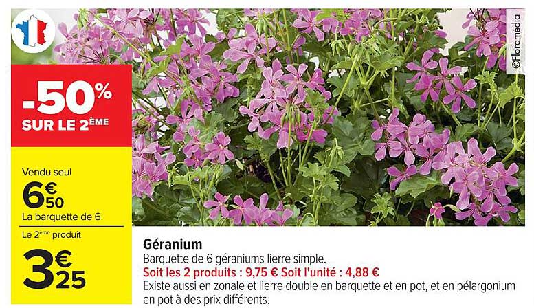 Géranium