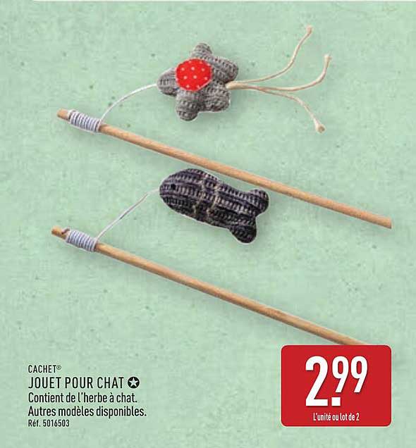JOUE POUR CHAT