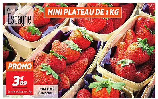 MINI PLATEAU DE 1 KG