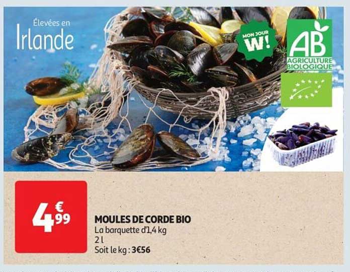 MOULLES DE CORDE BIO
