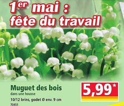 Muguet des bois dans une housse