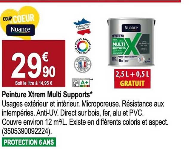 Peinture Xtrem Multi Supports*