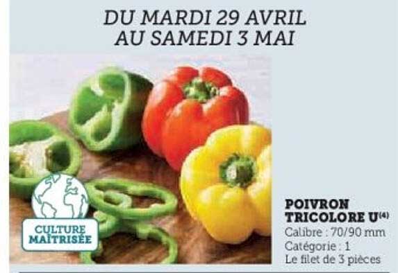 POIVRON TRICOLORE U