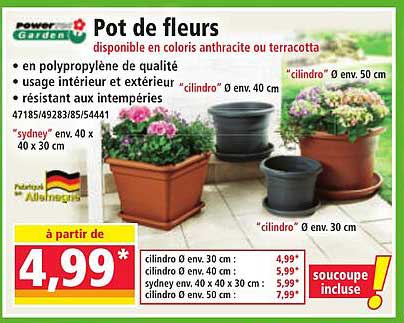 Pot de fleurs