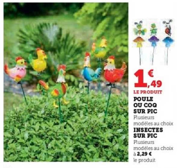 Poule ou Coq sur Pic