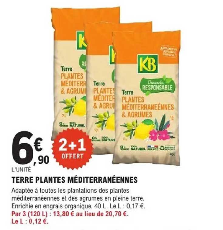 TERRE PLANTES MÉDITERRANÉENNES
