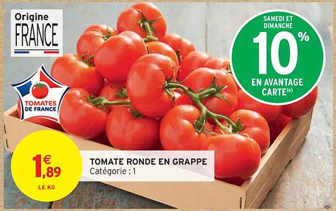 TOMATE RONDE EN GRAPPE
