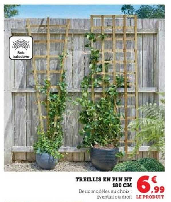 TREILLIS EN PIN HT 180 CM