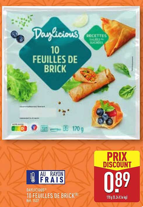 10 FEUILLES DE BRICK