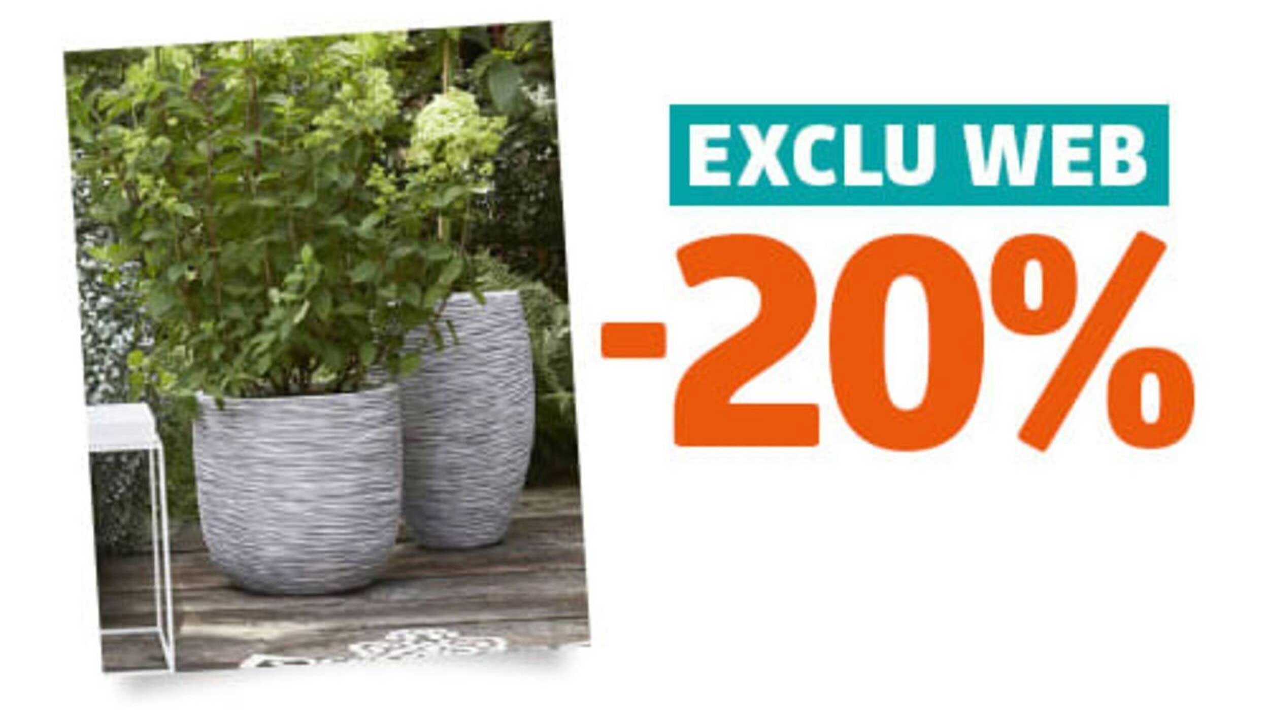 EXCLU WEB -20%