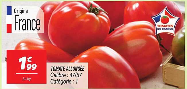 TOMATE ALLONGÉE