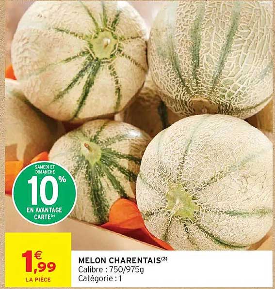MELON CHARENTAIS(3)