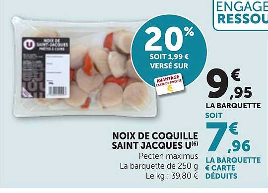 NOIX DE COQUILLE SAINT JACQUES U(6)