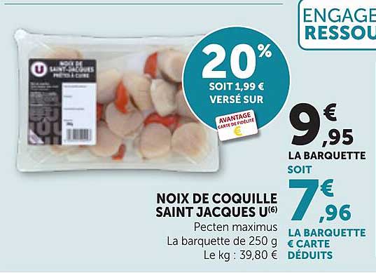 NOIX DE COQUILLE SAINT JACQUES U(6)