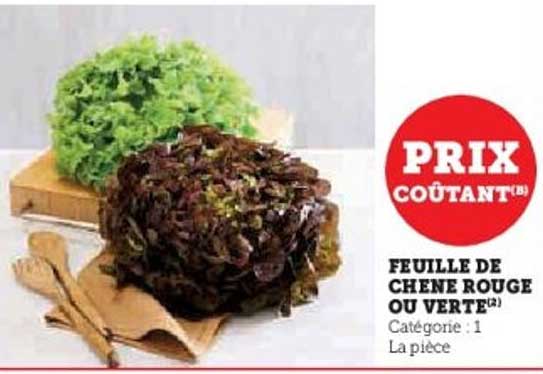 FEUILLE DE CHENE ROUGE OU VERTE