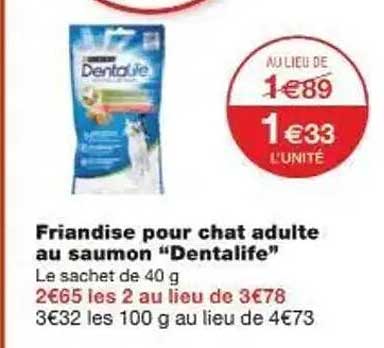 Friandise pour chat adulte au saumon “Dentalife”