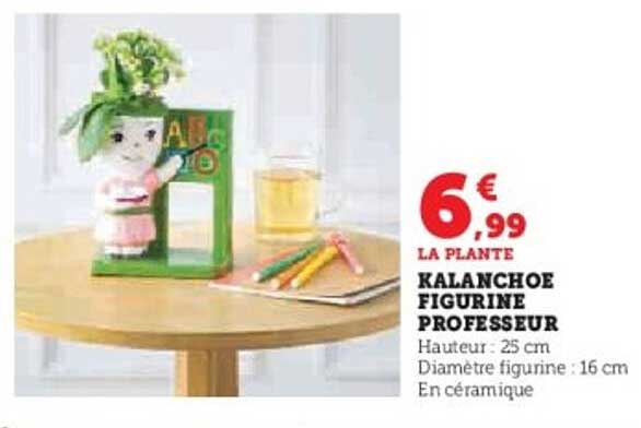 KALANCHOE FIGURINE PROFESSEUR