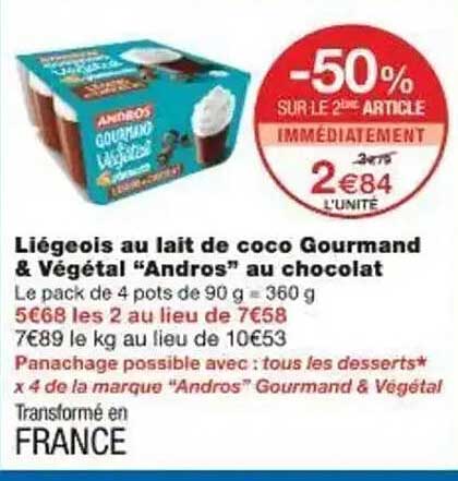 Liégeois au lait de coco Gourmand & Végétal “Andros” au chocolat