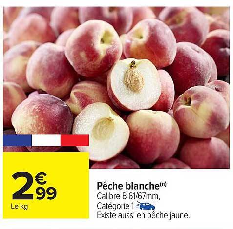 Pêche blanche