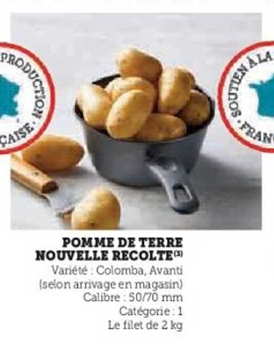 POMME DE TERRE NOUVELLE RECOLTE