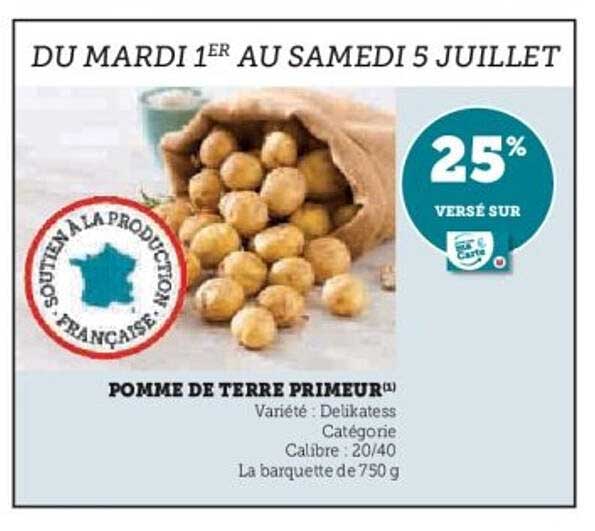 POMME DE TERRE PRIMEUR