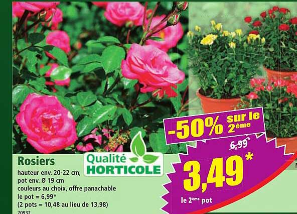 Rosiers