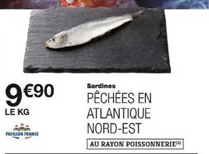 Sardines Pêchées en Atlantique Nord-Est