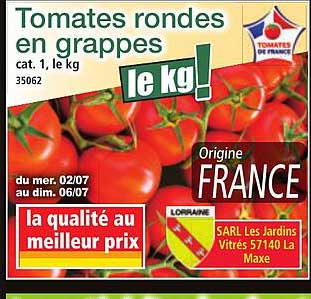 Tomates rondes en grappes
