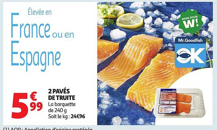2 PAVÉS DE TRUITE